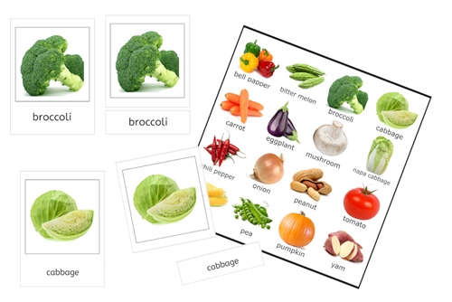 16 Vegetable Cards