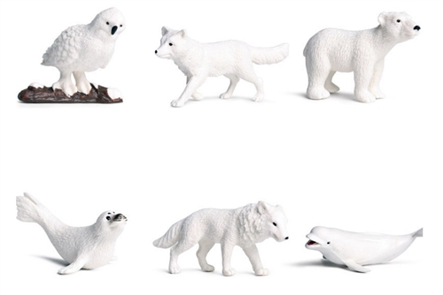 6 Arctic Animals
