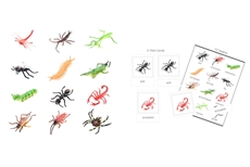 IFIT Montessori: 12 Insects