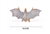 IFIT Montessori: Bat