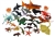 IFIT Montessori: 25 Marine Animals