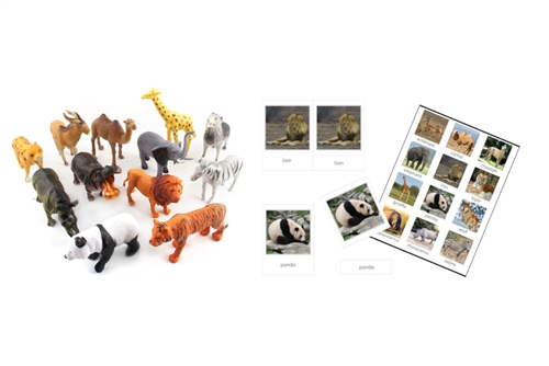 IFIT Montessori: 12 Wild Animals