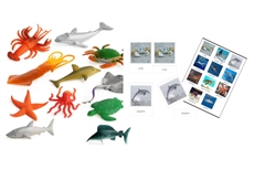 IFIT Montessori: Marine Animals