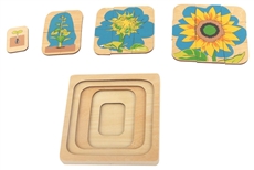 Sunflower Life Cycle Puzzle
