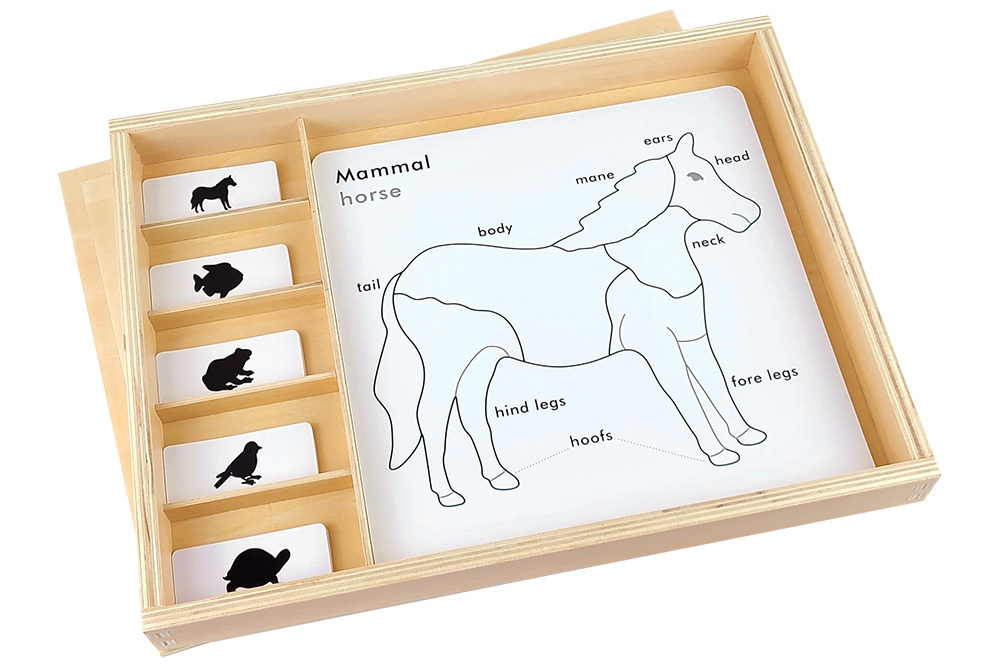 NEW Montessori Zoology Material_Animal Puzzle Activity Set