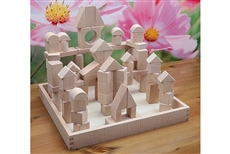 72 pcs Wood Building Blocks with Tray