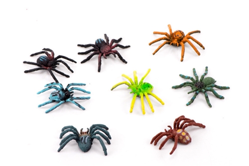 IFIT Montessori: Spider